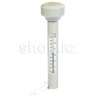 Термометр для бассейна Bestway Flowclear 58072
