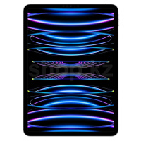 Retina Liquid 11" дисплейі бар Apple iPad Pro A2761 планшеті, 256 GB, Wi-Fi+5G, Silver (MNYF3)