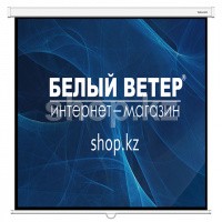 Экран настенный Deluxe DLS-M180xW