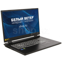 Ноутбук Acer Nitro 5 AN517-55 (NH.QFXER.003)