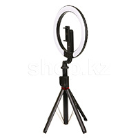 Кольцевая лампа USAMS ZB32301 10-inch Live Stream Stand With Fill Light, Black