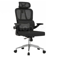 Кресло офисное компьютерное FlexiSpot OC19B, Black