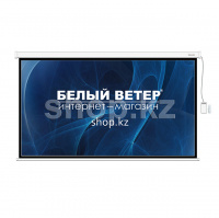 Экран моторизованный Deluxe DLS-ERC265x149W