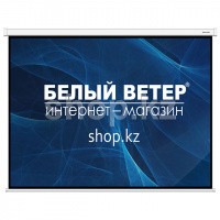 Deluxe DLS-M203x153W қабырға экраны