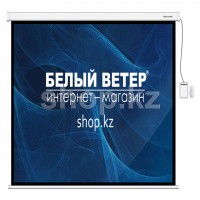 Экран моторизованный Deluxe DLS-ERC203x153W