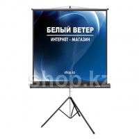 Deluxe DLS-T153x штативіндегі экраны