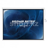 Экран моторизованный Deluxe DLS-ERC305W
