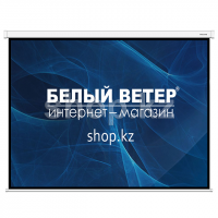 Экран настенный Deluxe DLS-M240x180W