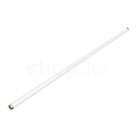 LED лампочка Gauss Elementary T8, 20Вт, 4000K