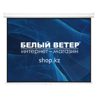 Mr.Pixel MSPSAC200V2 моторлы экраны