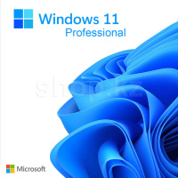 Microsoft Windows 11 Professional, 64-bit, электрондық кілт