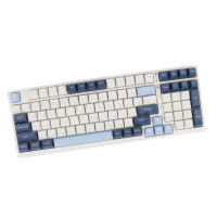 A4Tech Fstyler FS300, Panda Snowboarding, USB пернетақтасы