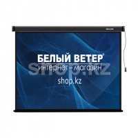 Deluxe DLS-E203-153 моторлы экраны