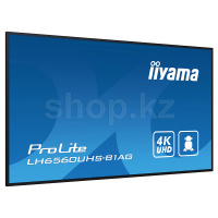 Монитор 65" iiyama ProLite LH6560UHS-B1AG, Black