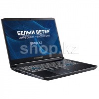 Ноутбук Acer Predator Helios 300 PH317-53 (NH.Q5QER.01B)