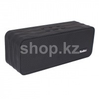 Tesler PSS-555 (2.0), Black портативті динамигі