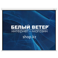 Экран моторизованный Deluxe DLS-ERC213xW