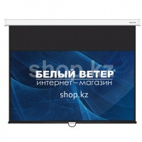 Deluxe DLS-M300x180W қабырға экраны