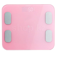 Scarlett SC-BS33ED102 таразысы