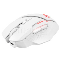 Мышь Defender Ibix GM-895 52896, White, USB