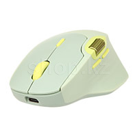 Мышь Rapoo MT560, Pale Green, USB