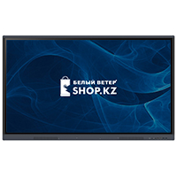 iiyama PL TE5504MIS-B3AG, Black интерактивті панель