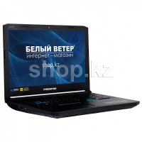 Ноутбук Acer Predator Helios 500 PH517 (NH.Q3NER.001)