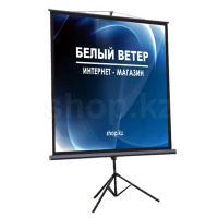 Экран на треноге Mr.Pixel MSPSDB96V2