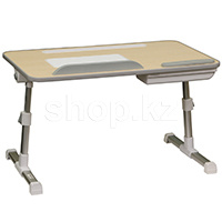 Eco Estelar LPD01-12, Silver ноутбук тірегі