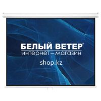 Экран настенный Mr.Pixel MSPSBB167V2