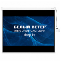 Экран моторизованный Deluxe DLS-ERC274x206W