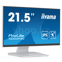 Монитор 21.5" iiyama ProLite PL2252M, White