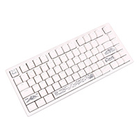 Dark Project ALU81A Terra Nostra, g3ms Moonstone Switch, White пернетақтасы