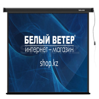 Экран настенный Deluxe DLS-M213x