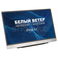 14" ASUS ZenScreen MB14AC, Black-Gray Мониторы