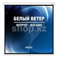 Deluxe DLS-M213xW қабырға экраны