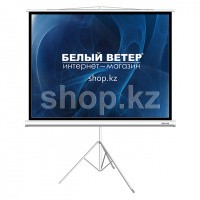 Deluxe DLS-T153x116W штативіндегі экраны