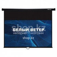 Экран настенный Deluxe DLS-M229-185