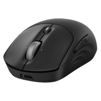 HP 700 Rechargeable, Black, USB тінтуірі