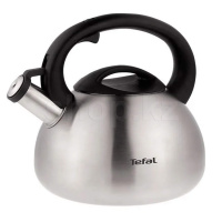 Чайник Tefal C7921024, Steel
