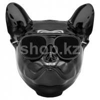 AeroSystem AeroBull Nano (2.1), Chrome Black портативті динамигі