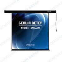 Экран моторизованный Deluxe DLS-E203x