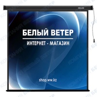 Deluxe DLS-E213x моторлы экраны