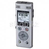 Диктофон цифровой Olympus DM-720, 4Gb, Silver + 5 аудиокниг
