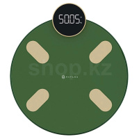 Весы Haylou Smart Scale CM01