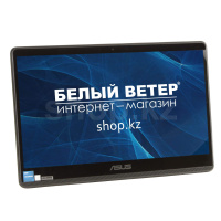 Моноблок Asus ExpertCenter E1 AiO E1600WKAT (90PT0391-M001N0)