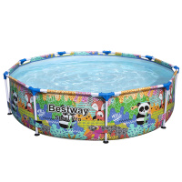 Бассейн каркасный Bestway Steel Pro 5612F