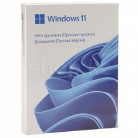 Microsoft Windows 11 Home, 64-bit, USB