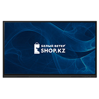 Интерактивная панель iiyama PL TE6512MIS-B1AG, Black