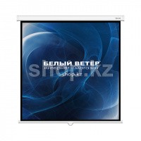 Deluxe DLS-M244W қабырға экраны